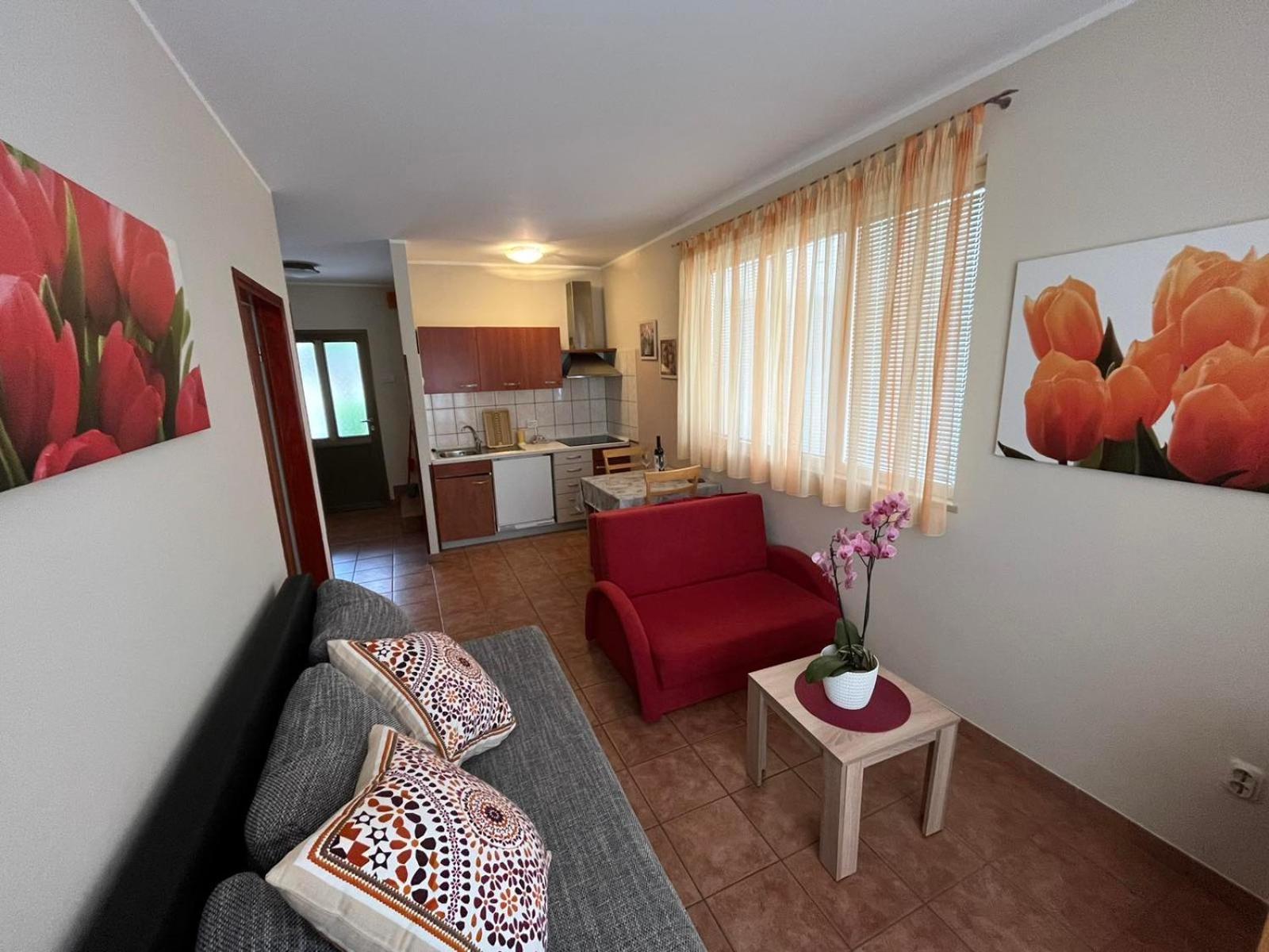 רוביני Family Apartments Suzi מראה חיצוני תמונה